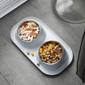 Elevated Double Pet Bowl with Stainless Steel Bowls – Anti-Tip Slanted Neck Feeder (Gray)