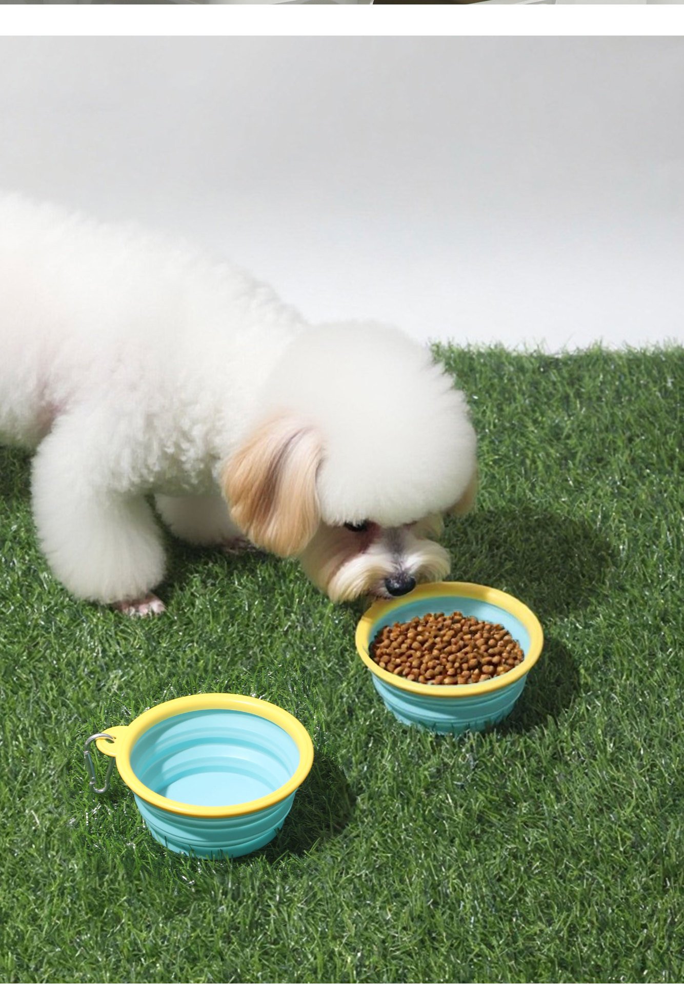 Perfect for kibble on the go