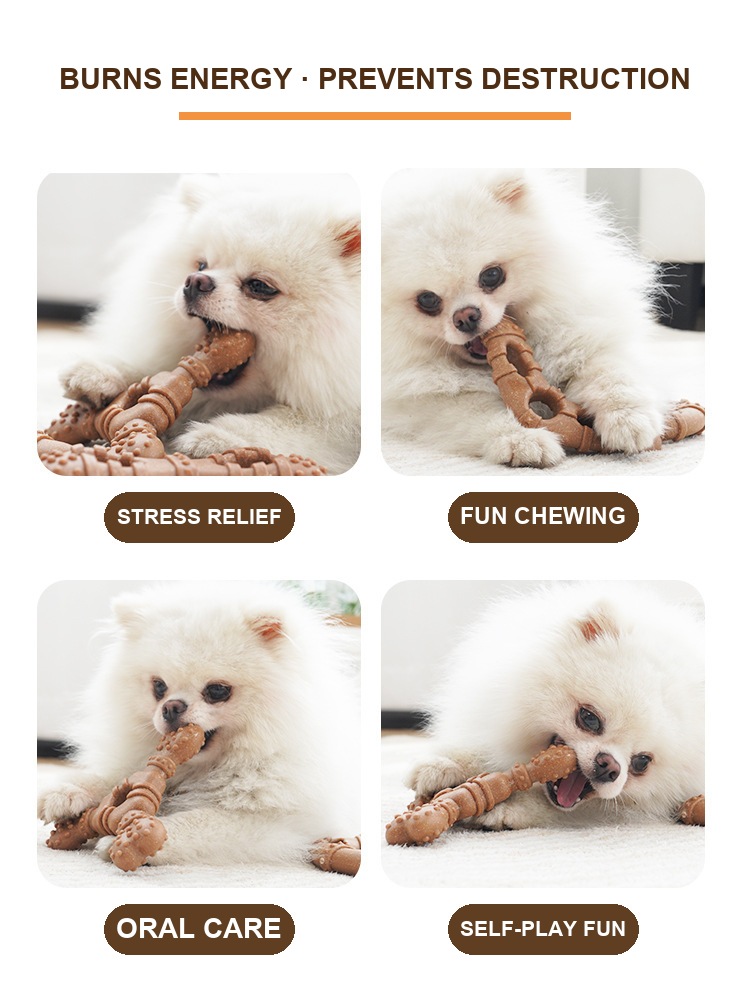 Dog chewing the toy