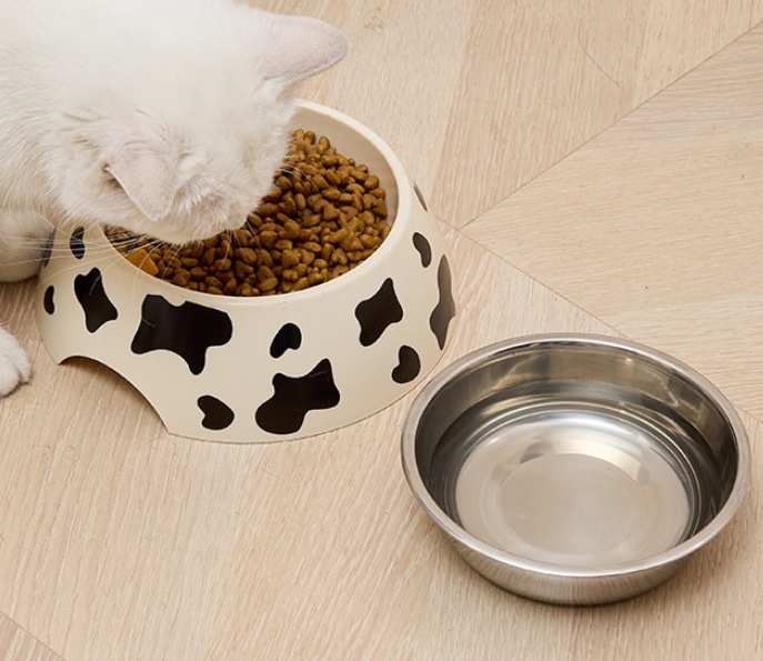 Cow print bowl in use with a cat