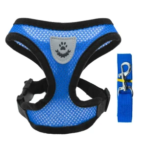 Reflective Mesh Harness & Leash Set for Dogs & Cats – No-Pull, Escape-Proof – Royal Blue