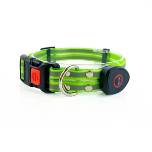 USB Rechargeable LED Glow Dog Collar — Reflective PVC | Green