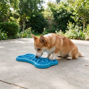 Silicone Slow-Feeder Licking Mat - Suction-Cup Slow Eating Pad for Dogs and Cats