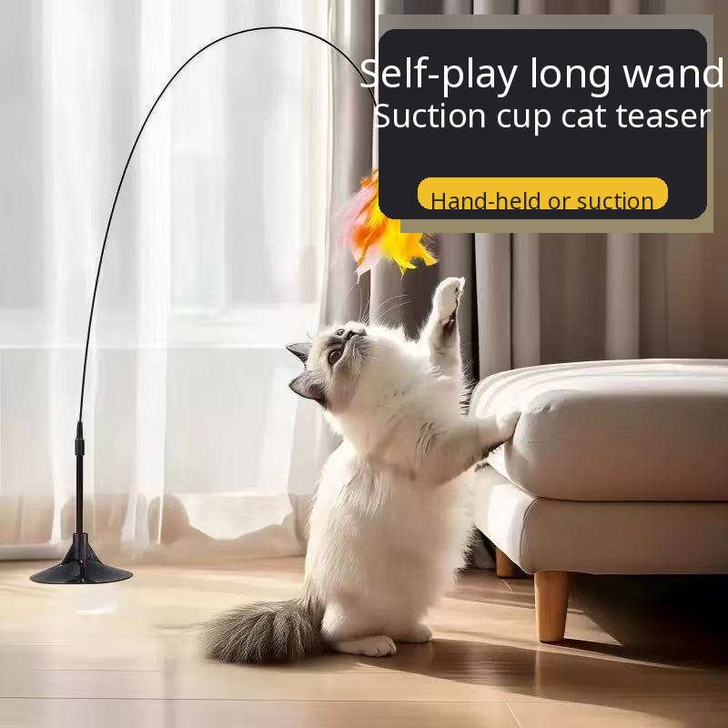 Self-play long wand