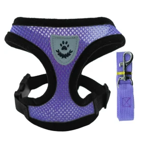 Reflective Mesh Harness & Leash Set for Dogs & Cats – No-Pull, Escape-Proof – Purple